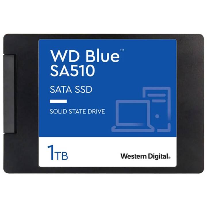 SANDISK WD Blue SA510 (SATA-III, 1 TB)