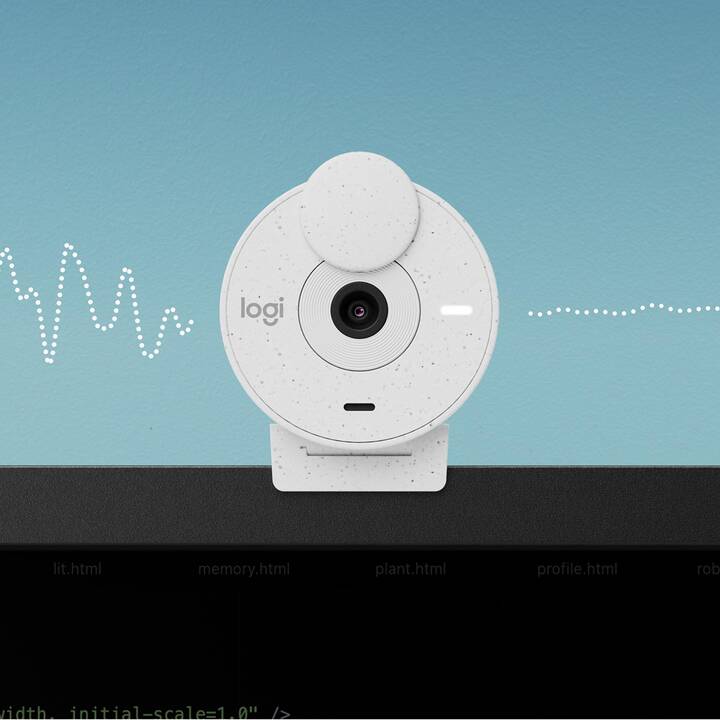LOGITECH Brio 300 Webcam (2 MP, Weiss)