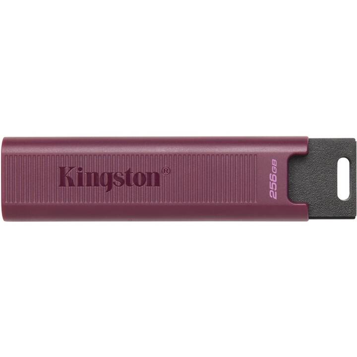 KINGSTON TECHNOLOGY DataTraveler Max (256 GB, USB 3.2 Typ-A, USB 3.1 de type A)