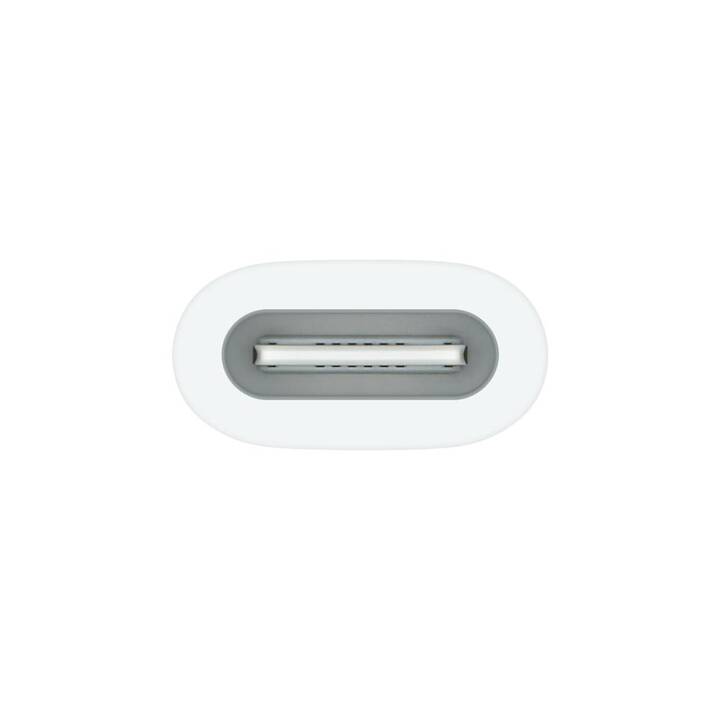 APPLE Pencil Adapter Cavo USB (USB-C, senza spina, USB di tipo C, Lightning)