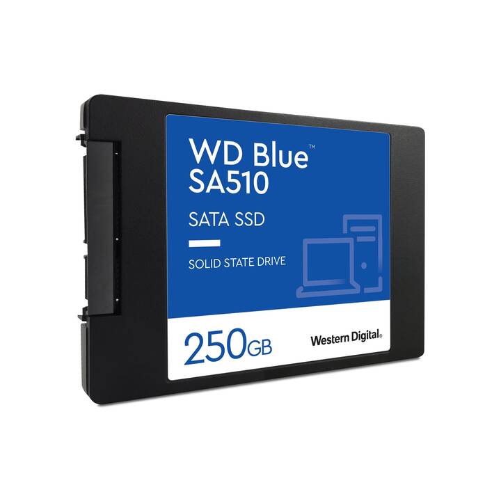 WESTERN DIGITAL Blue SA510 (SATA-III, 250 GB)