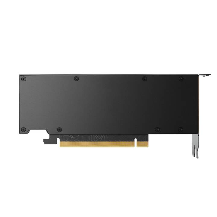 PNY TECHNOLOGIES Nvidia RTX RTX 4000 (20 GB)