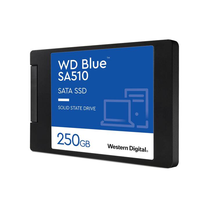 WESTERN DIGITAL Blue SA510 (SATA-III, 250 GB)
