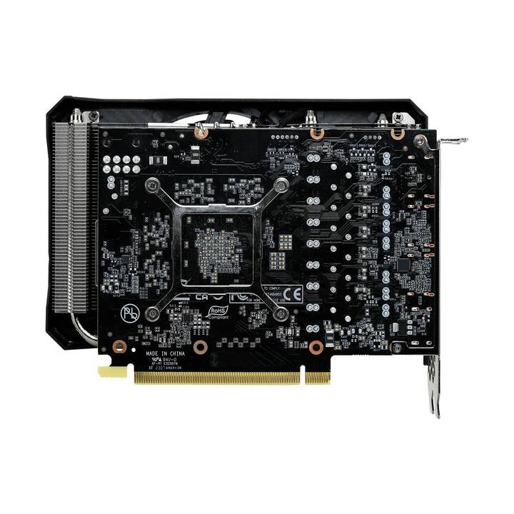 GAINWARD Pegasus Nvidia GeForce RTX 4060 Ti (8 GB)