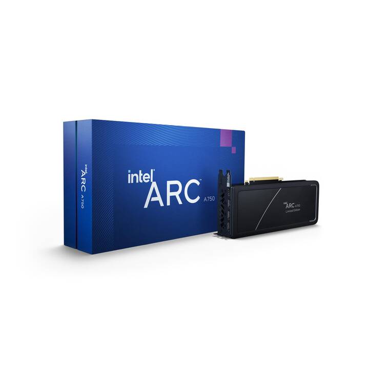 INTEL Arc A750 (8 GB)