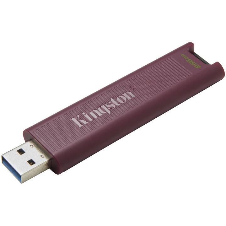 KINGSTON TECHNOLOGY DataTraveler Max (256 GB, USB 3.2 Typ-A, USB 3.1 di tipo A)