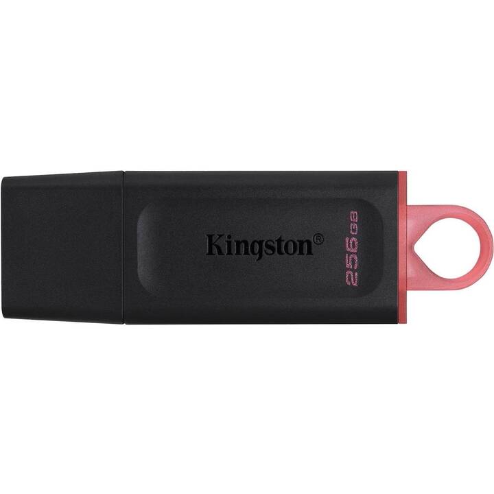 KINGSTON TECHNOLOGY DataTraveler Exodia Onyx (256 GB, USB 3.2 Typ-A)