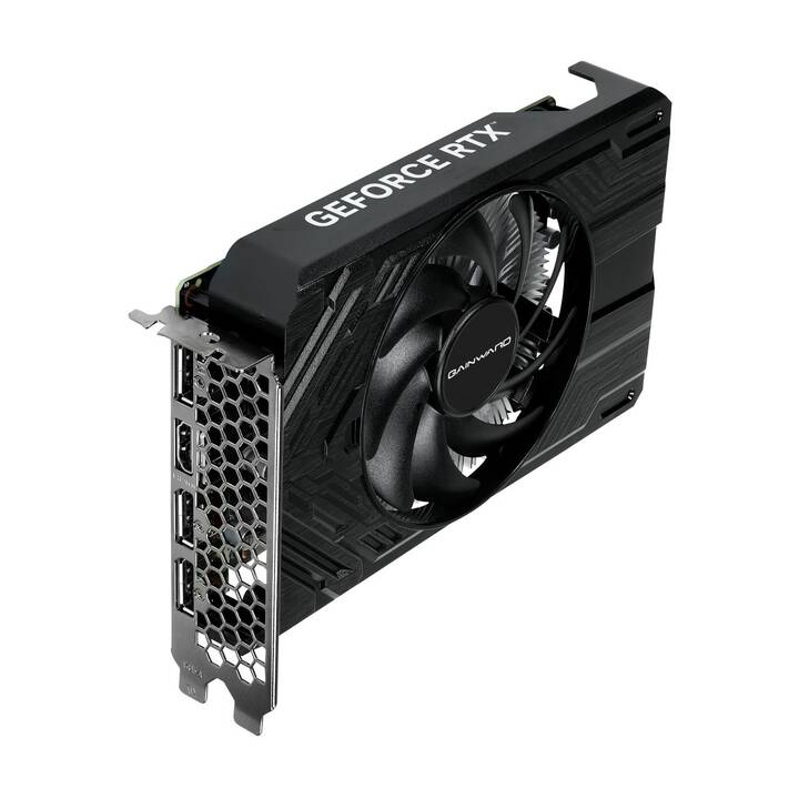 GAINWARD Pegasus Nvidia GeForce RTX 4060 (8 Go)