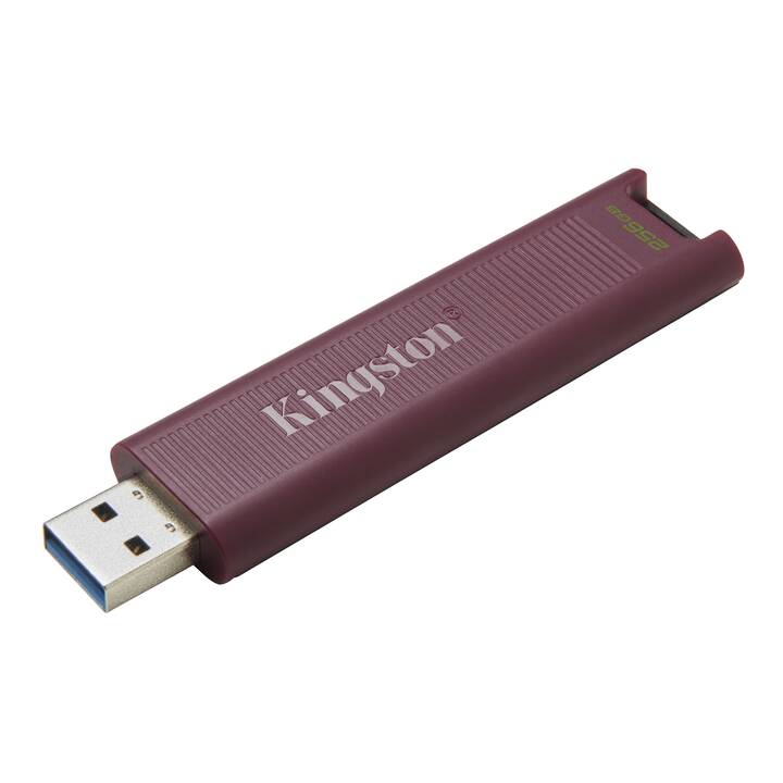 KINGSTON TECHNOLOGY DataTraveler Max (256 GB, USB 3.2 Typ-A, USB 3.1 Typ-A)