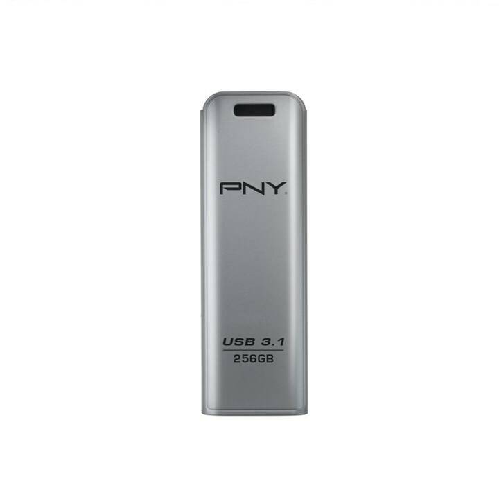 PNY TECHNOLOGIES Elite Steel (256 GB, USB 3.1 de type A)