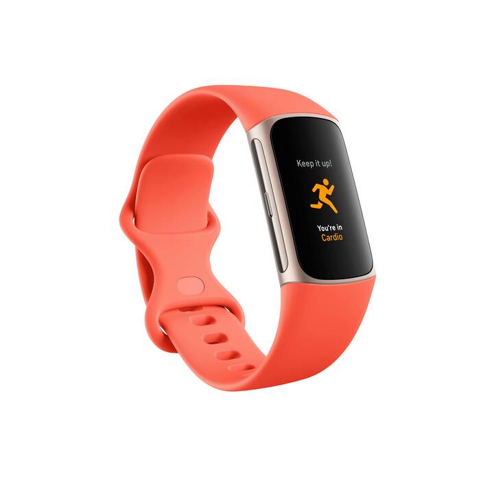 FITBIT Charge 6 (L, S, Coral)