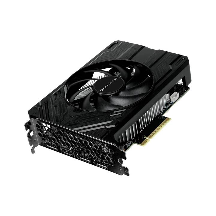 GAINWARD Pegasus Nvidia GeForce RTX 4060 (8 GB)
