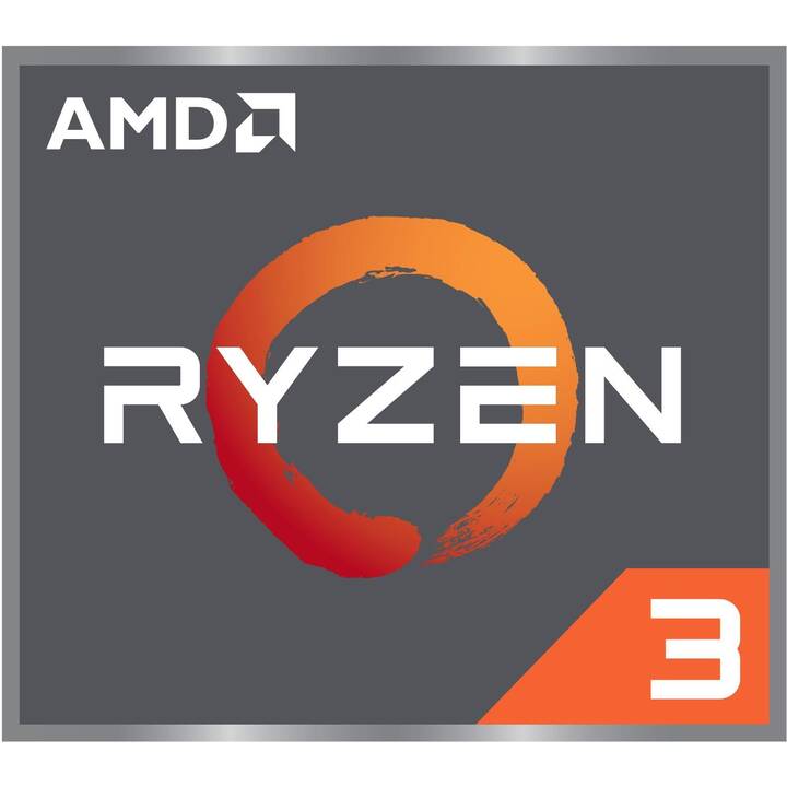 ACER Aspire 3 A315-24P-R6W2 (15.6", AMD Ryzen 3, 8 Go RAM, 512 Go SSD)