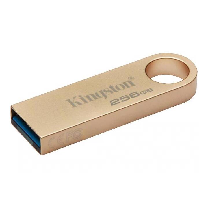 KINGSTON TECHNOLOGY (256 GB, USB 3.2 Typ-A)