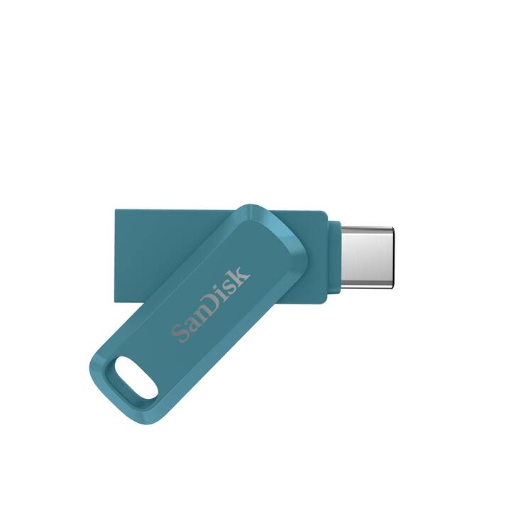 SANDISK (256 GB, USB 3.1 Typ-A, USB 3.1 Typ-C)
