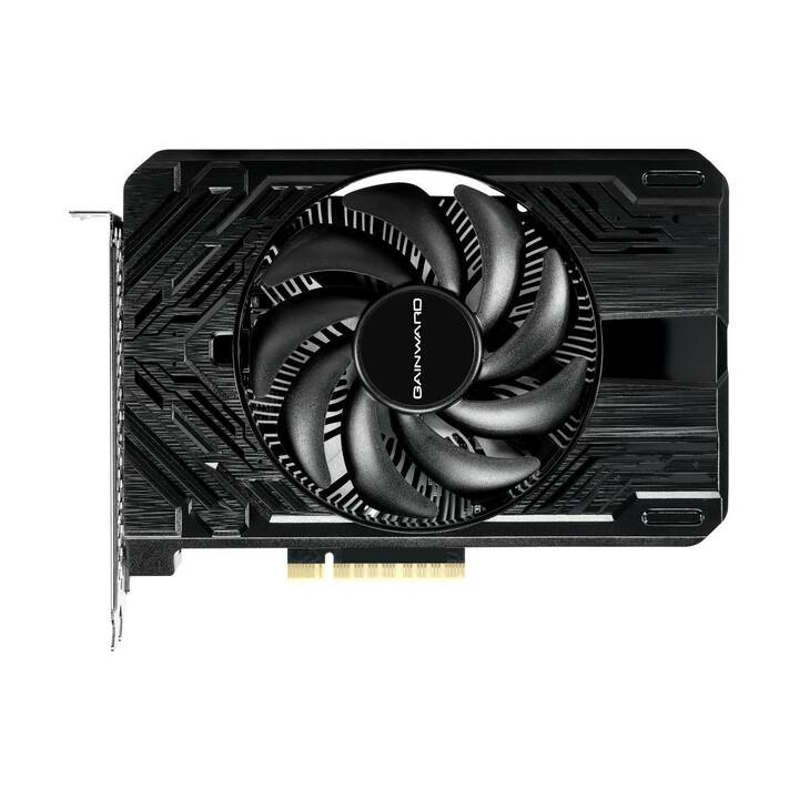 GAINWARD Pegasus Nvidia GeForce RTX 4060 (8 GB)