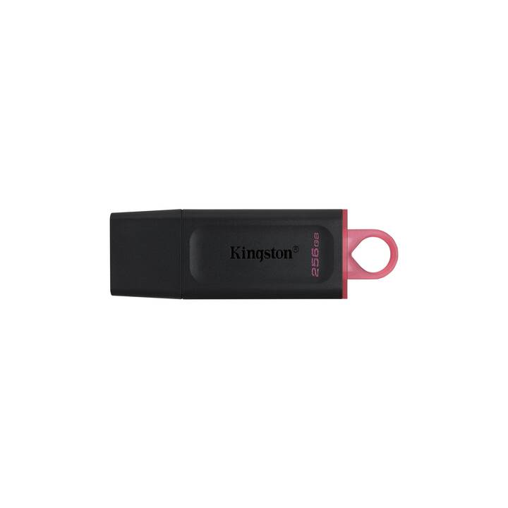 KINGSTON TECHNOLOGY DataTraveler Exodia (256 GB, USB 3.1 Typ-A)