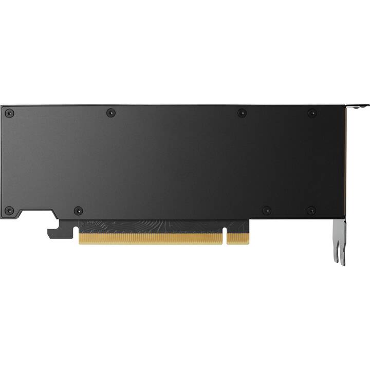 PNY TECHNOLOGIES Nvidia RTX 4000 SFF Ada Generation (20 Go)