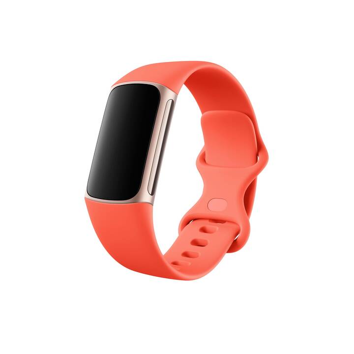 FITBIT Charge 6 (L, S, Coral)