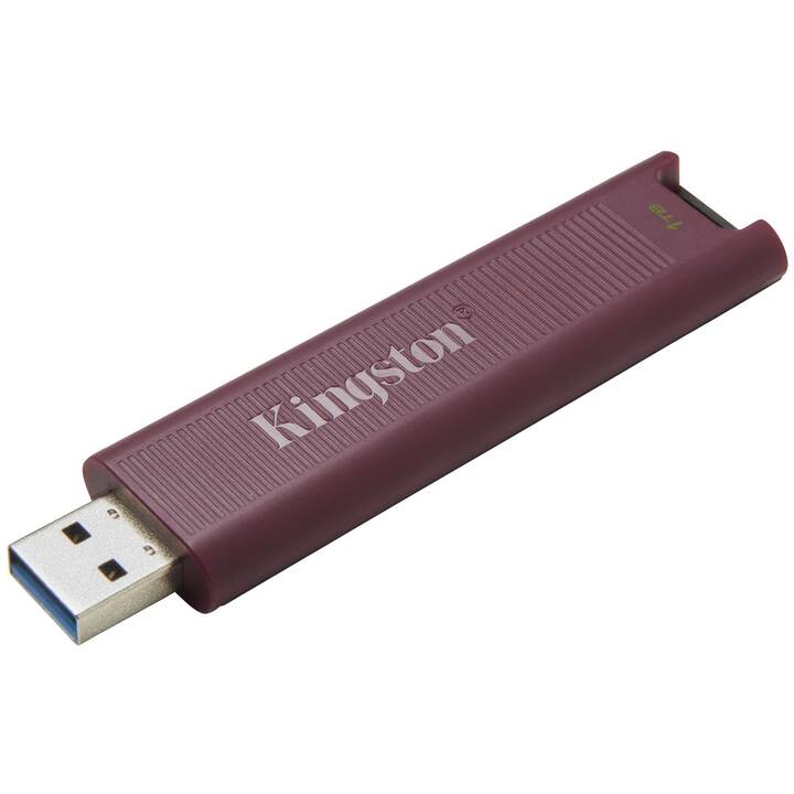 KINGSTON TECHNOLOGY DataTraveler Max (1000 GB, USB 3.1 di tipo A)