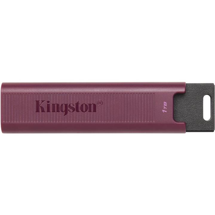 KINGSTON TECHNOLOGY DataTraveler Max (1000 GB, USB 3.1 de type A)