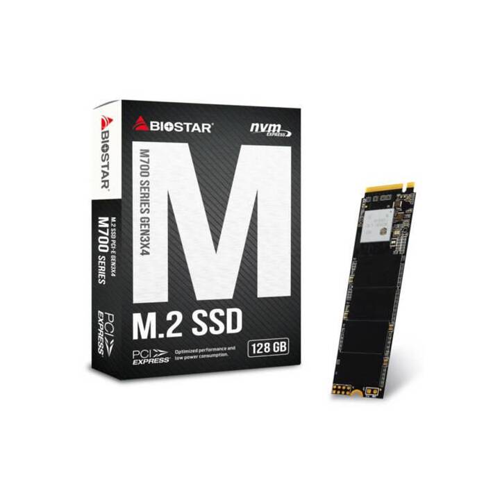 BIOSTAR M700 (PCI Express, 128 GB)