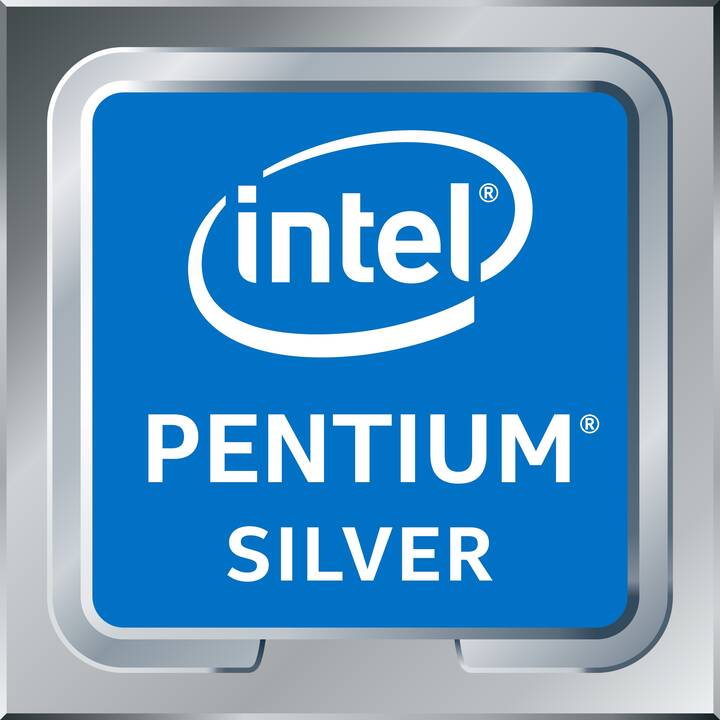 DELL OptiPlex 3000 (Intel Pentium Silver N6005, 8 GB, 32 GB SSD, Intel UHD Graphics)