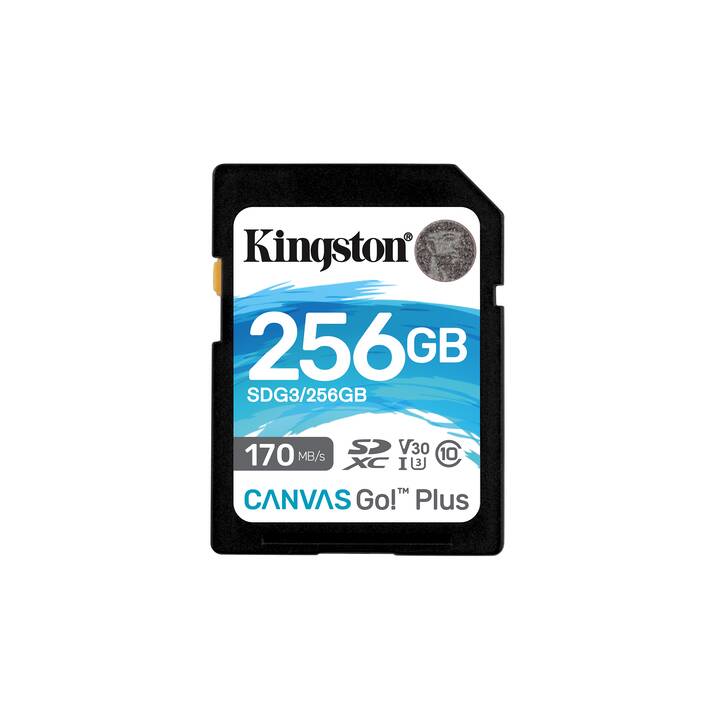 KINGSTON TECHNOLOGY SD Canvas Go! (Class 10, 256 GB, 170 MB/s)