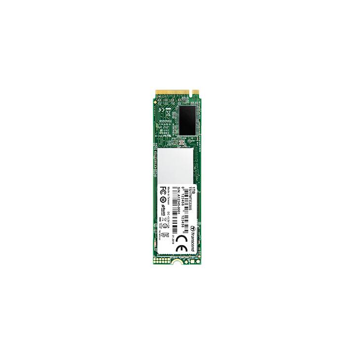 TRANSCEND TS256GMTE220S (PCI Express, 256 GB)