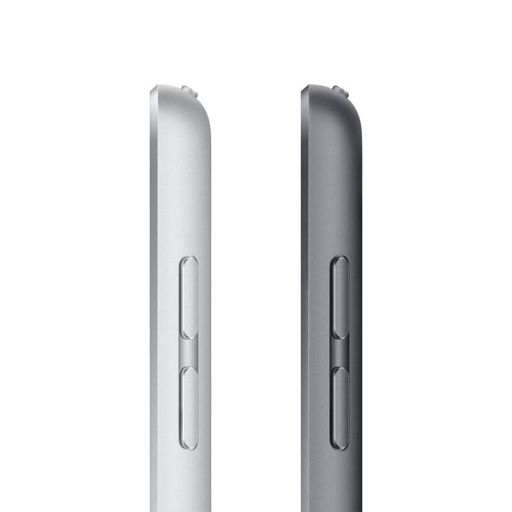 APPLE iPad Wi-Fi 2021 (10.2", 256 GB, Space Grau)