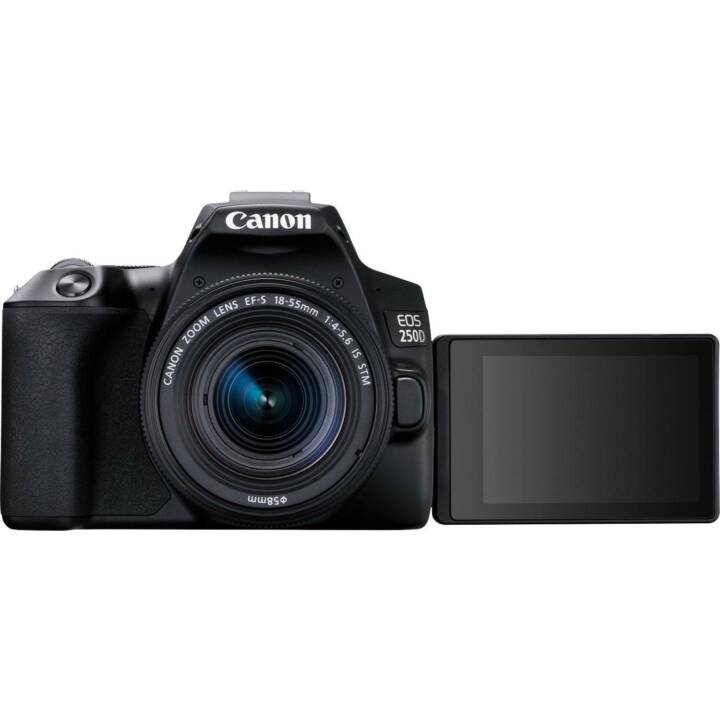 CANON EOS 250D + EF-S 18-55 mm IS STM Kit (24.1 MP)