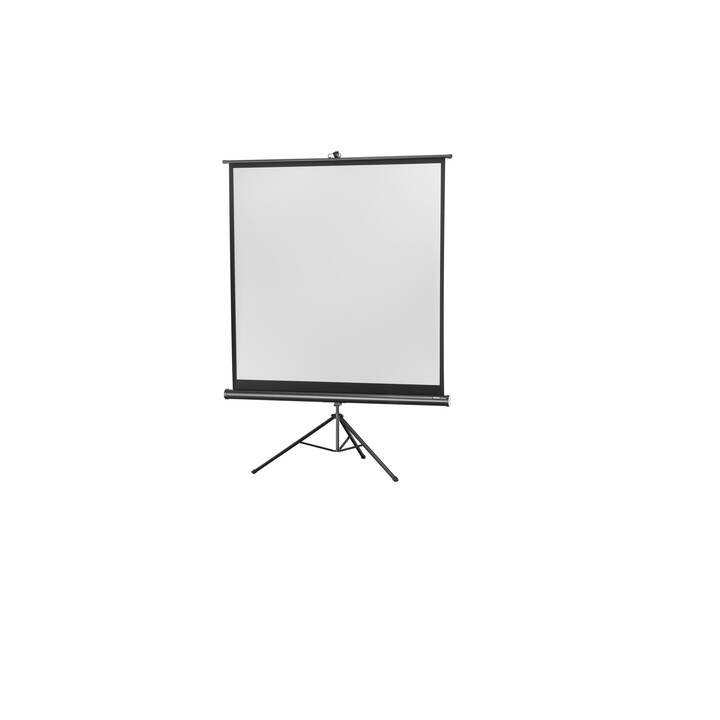 CELEXON Ecran de projection portable Eco  (72.4 inch, 1:1)