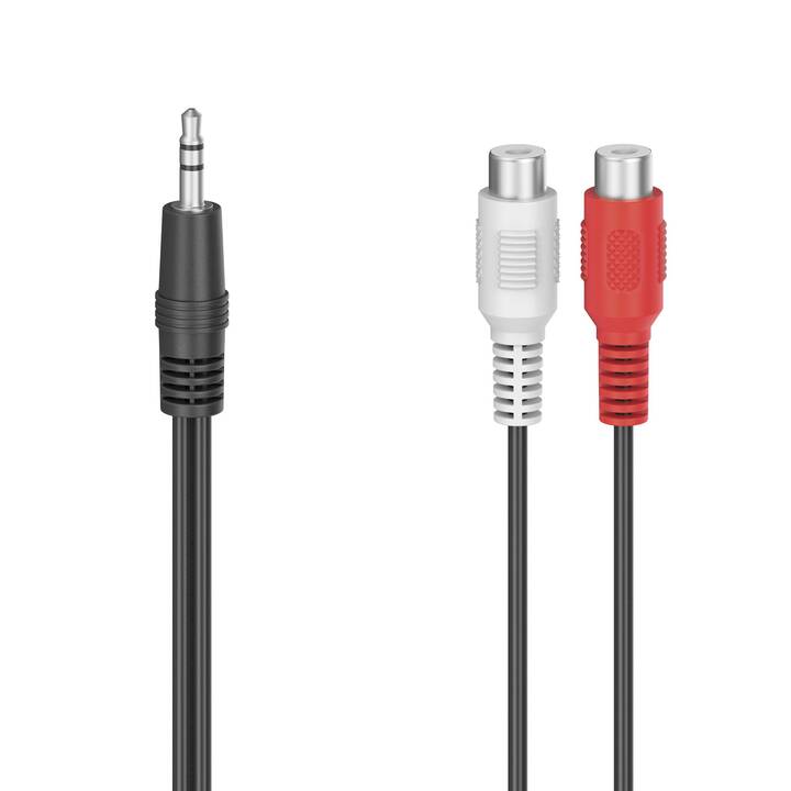 INTERTRONIC Câble adapteur (Jack 3.5 mm, Cinch)