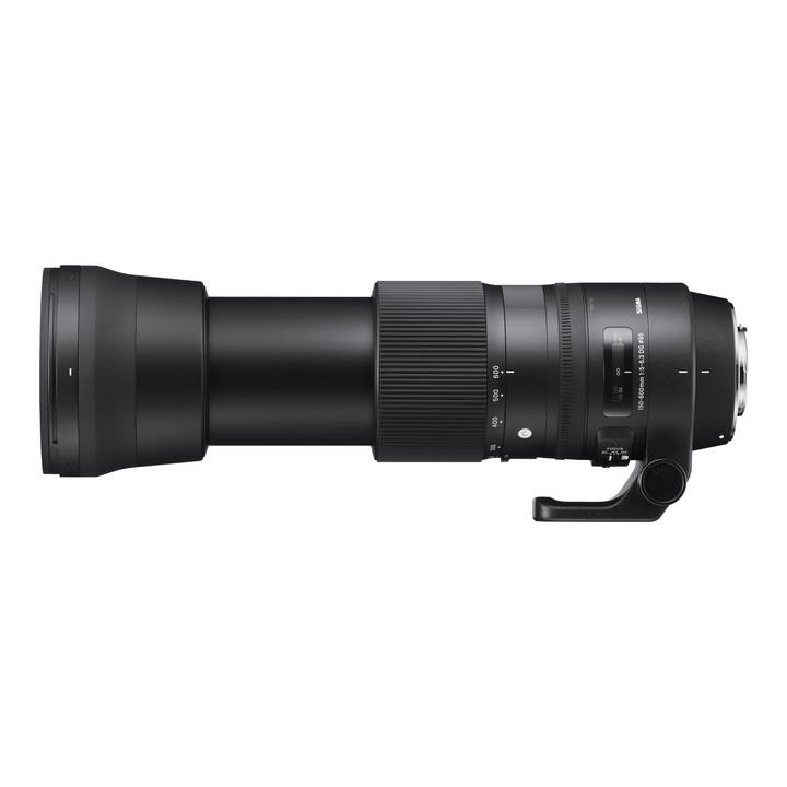 SIGMA Contemporary 150-600mm F/6.3-5 DG OS HSM for Nikon (F-Mount)