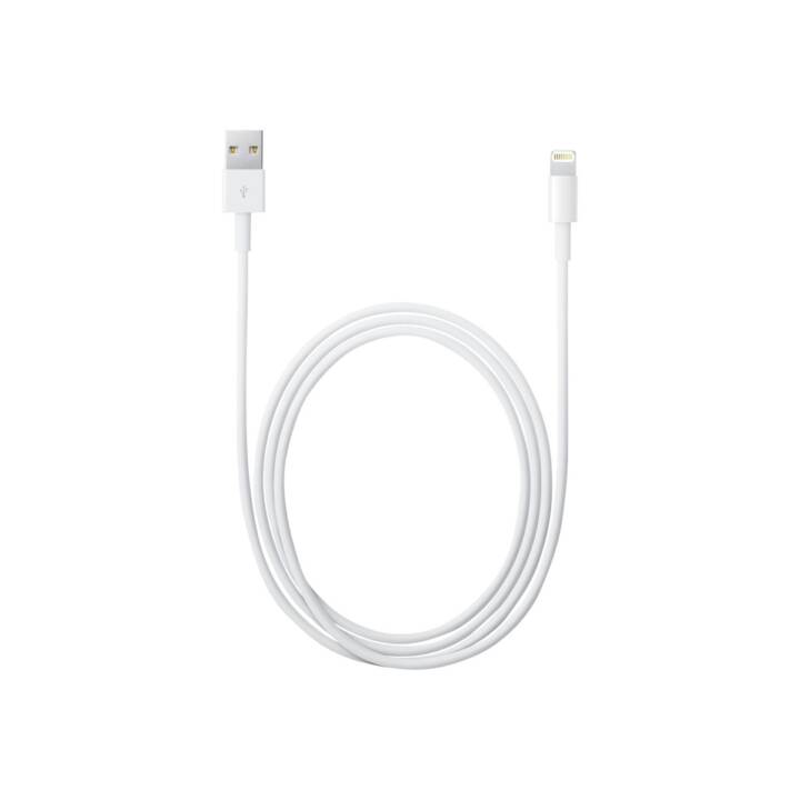 APPLE Kabel (USB 2.0 Typ-A, Lightning, 0.5 m)