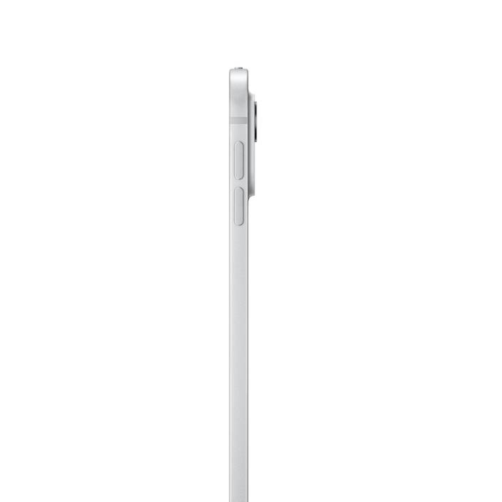 APPLE iPad Pro 13 WiFi 2024 Nanotexture (13", 1 TB, Argento)