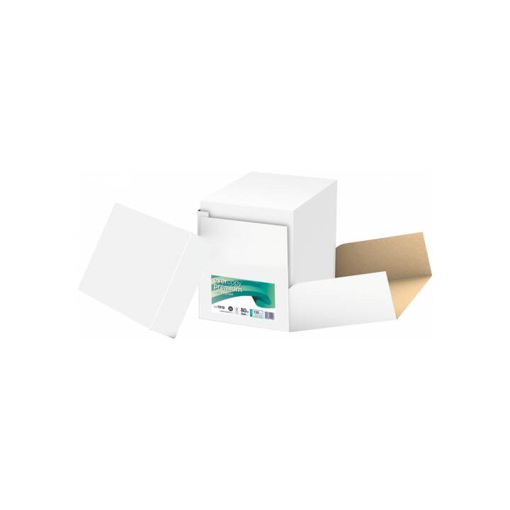 CLAIREFONTAINE Evercopy Kopierpapier (A4, 80 g/m2)