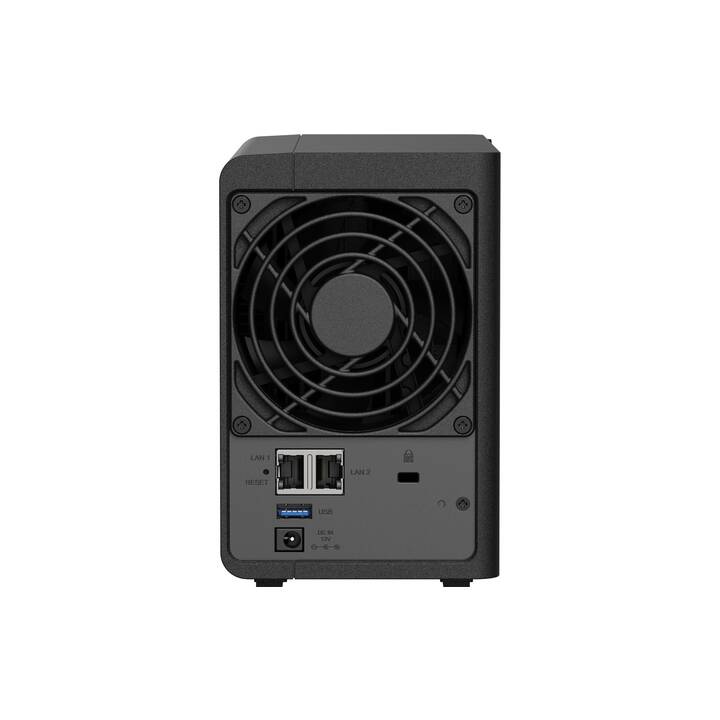 SYNOLOGY DS224 (2 x 2 Go)