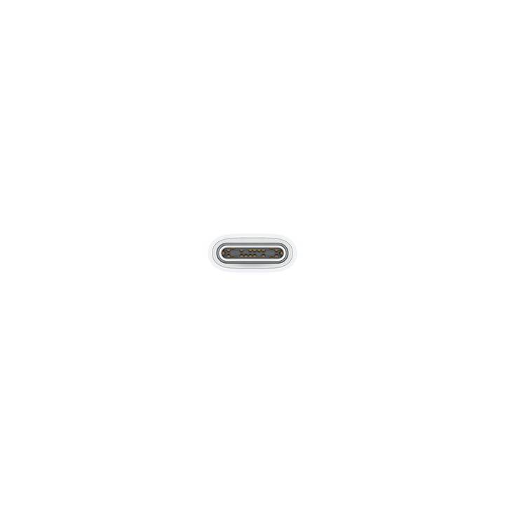APPLE USB-C Câble (USB de type C, 1 m)