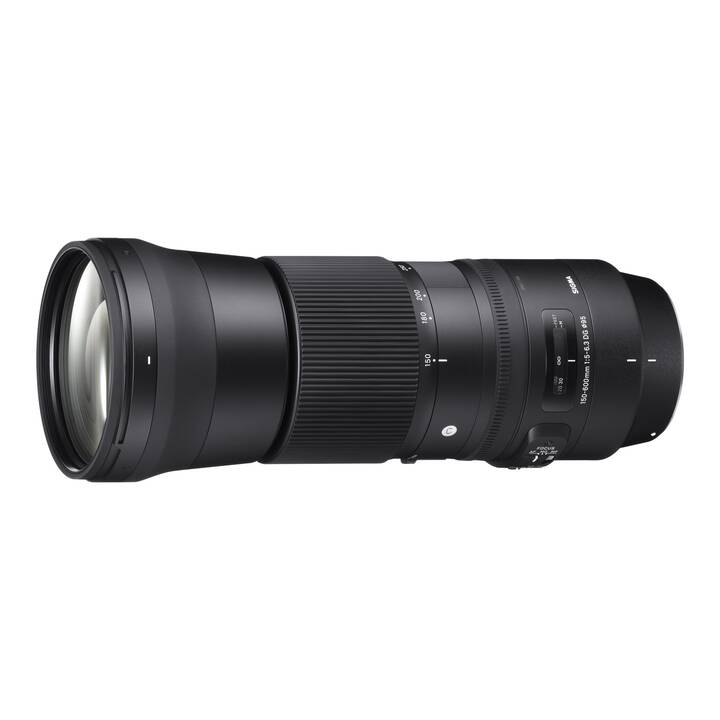 SIGMA Contemporary 150-600mm F/6.3-5 DG OS HSM for Nikon (F-Mount)
