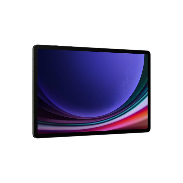 SAMSUNG Galaxy Tab S9+ 5G (12.4", 256 GB, Grau)