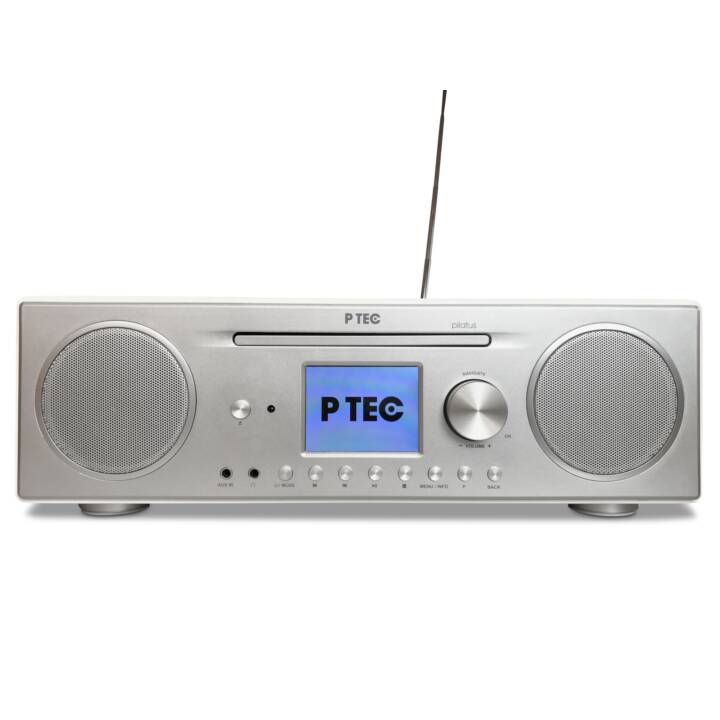 P TEC Pilatus Internetradio (Weiss, Silber)