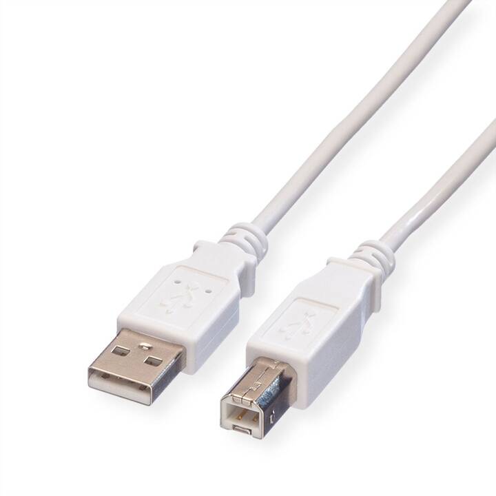VALUE Câble USB (USB de type A, USB Typ-B, 80 cm)