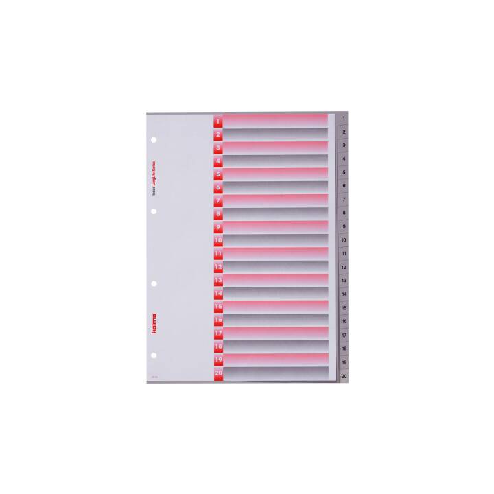 RACER Register Longlife A4