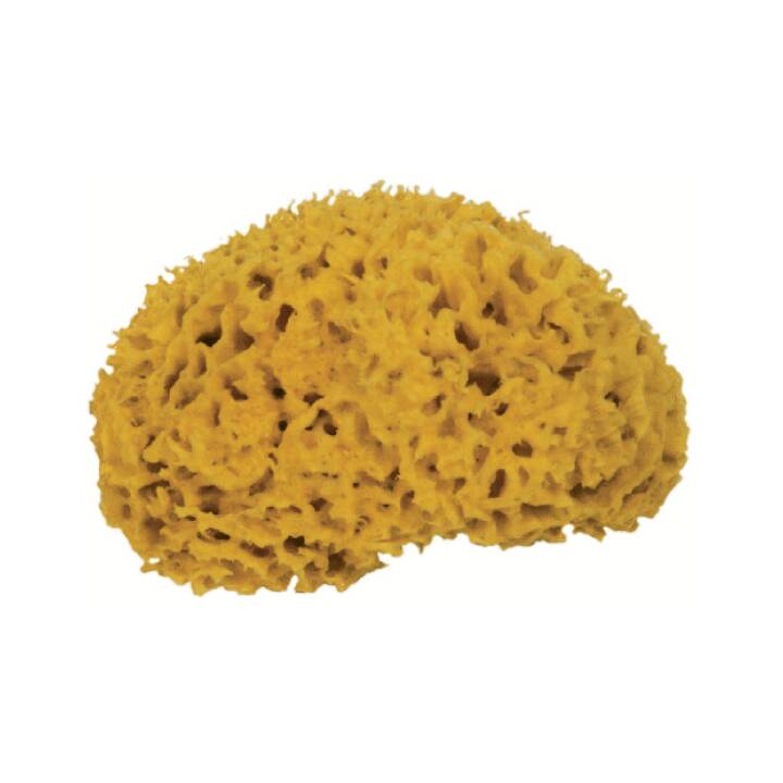 Natur-Schwamm (Ø 16cm)
