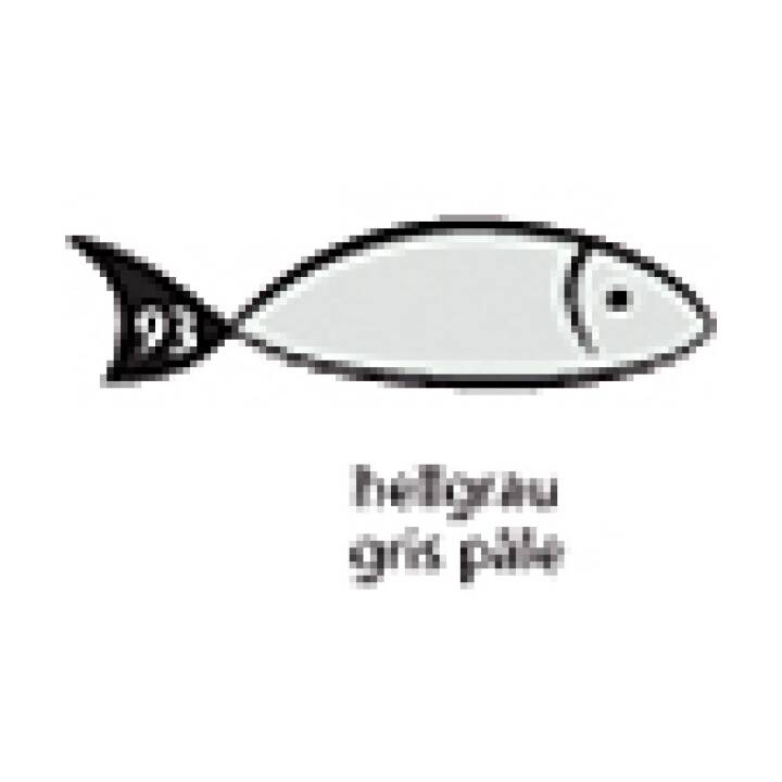 Rainbow Papier A3 80g grau 500 Blatt