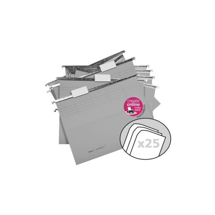 Hängemappe VetroMobil 25 x grau