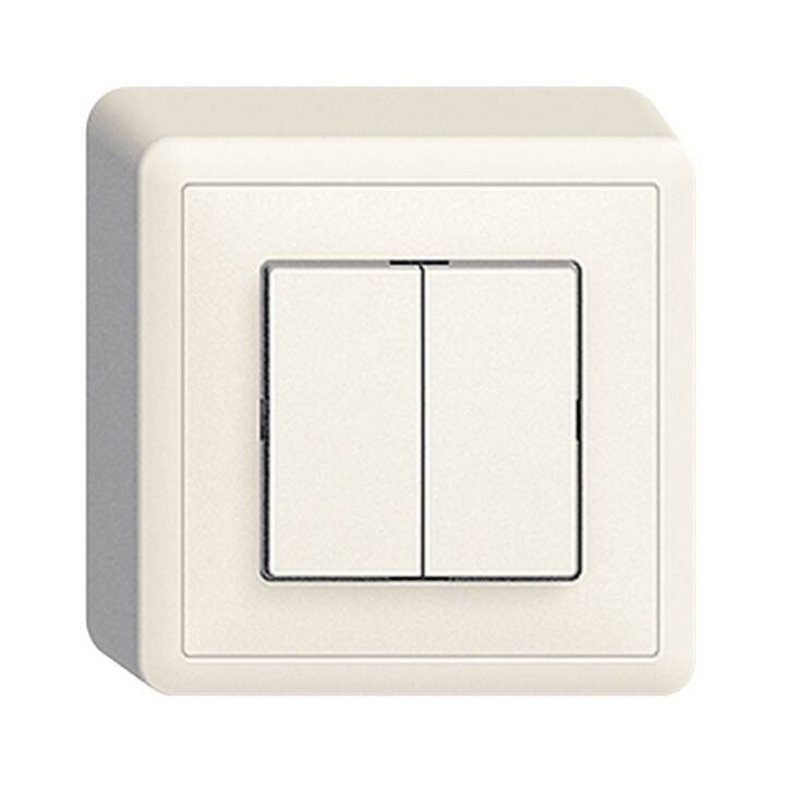 Schalter AP EDIZIOdue Doppel