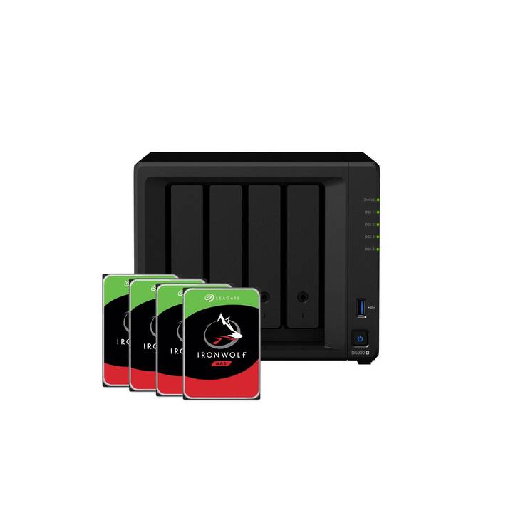 DS920 (8000 GB)
