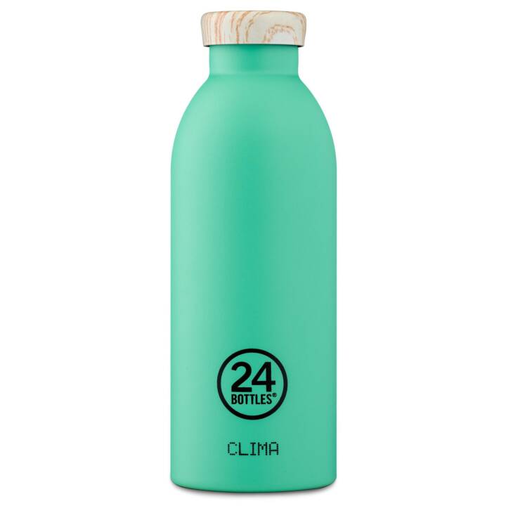 Thermo Trinkflasche Clima Mint (500 ml, Mintgrün)